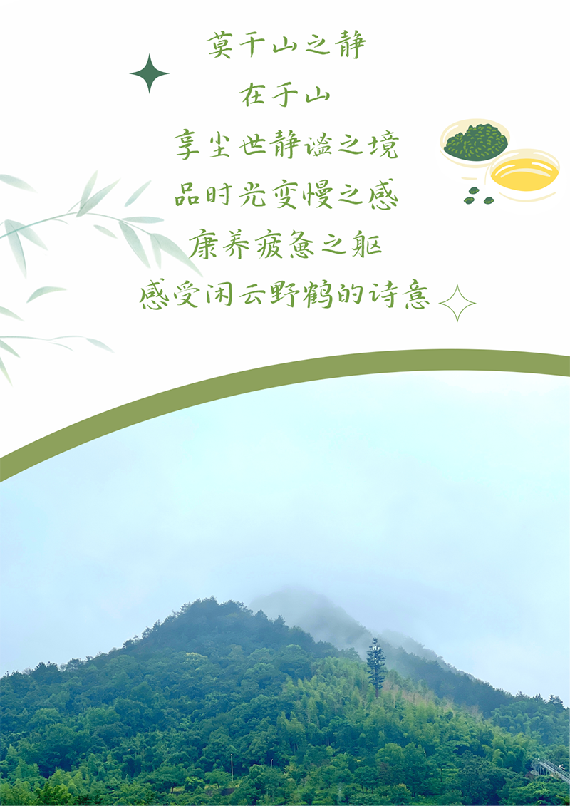 心心想廿 相伴bevictor伟德 | 与德清相约 贺廿载生日